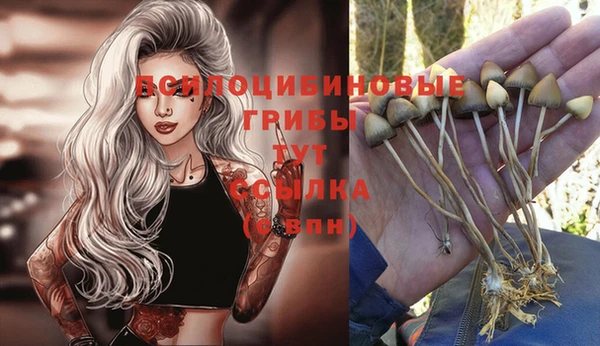 MESCALINE Белоозёрский